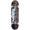 Night